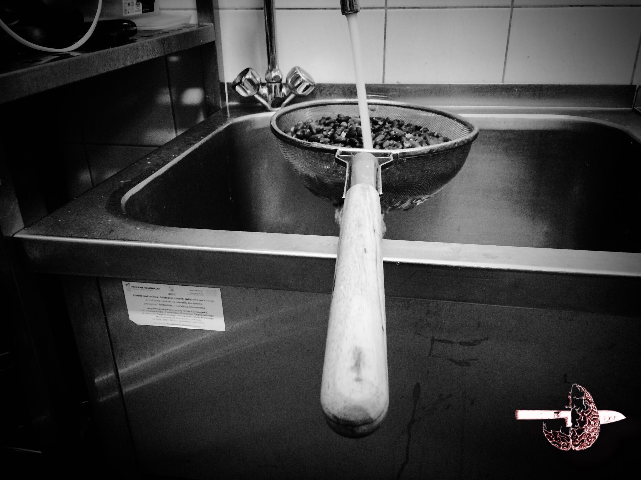 18589072_1545879542110382_977891855825779242_o