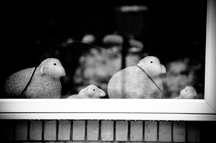 4389575978_9aff6711ee_o